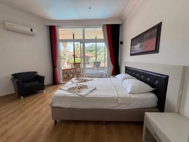 Lycian Center Hotel フェティエ